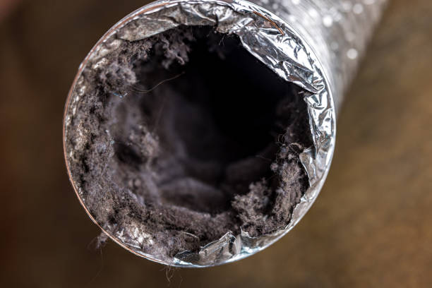 Best Air Duct Cleaning Near Me  in Iowa City, IA
