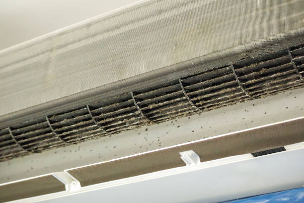 Best Air Duct Sanitizing Services  in Iowa City, IA